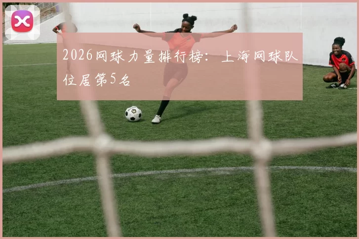 2026网球力量排行榜：上海网球队位居第5名