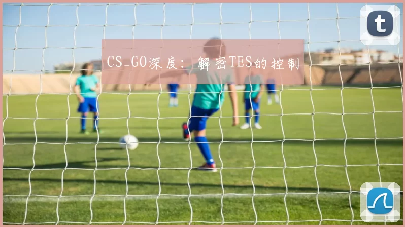 CS_GO深度：解密TES的控制