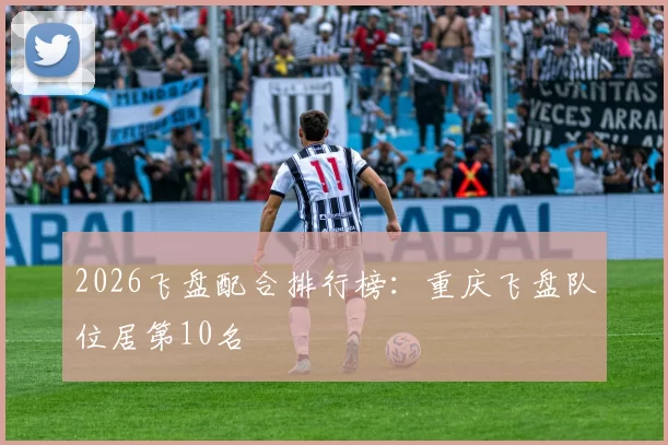 2026飞盘配合排行榜：重庆飞盘队位居第10名