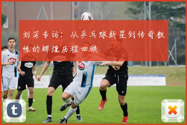 刘芳专访：从乒乓球新星到传奇教练的辉煌历程回顾