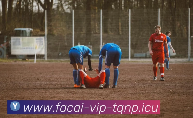 星空体育发展历程